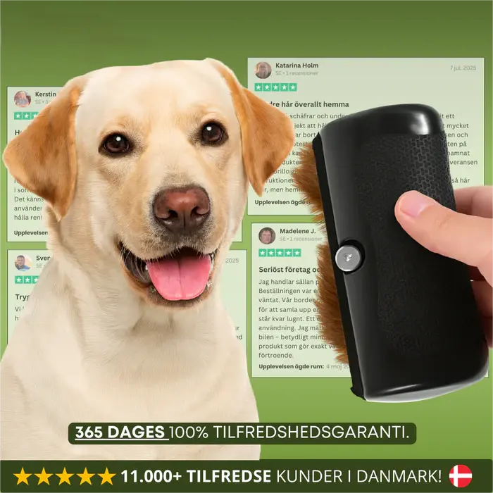 🧹🐾 Si farvel til hundehår – Effektiv hundebørste (Kjøp 1, få 1 gratis)