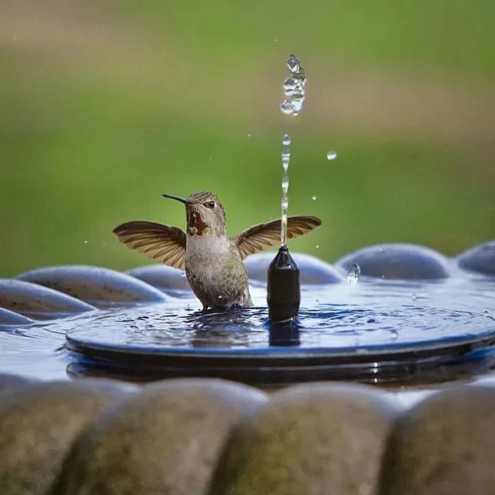 🌞Ny ankomst 50 % RABATT!⛲Kompakt solcelledrevet fuglefontenepumpe – Hold hagen din levende!🏖️