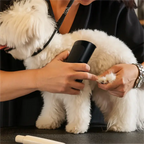 🧹🐾 Si farvel til hundehår – Effektiv hundebørste (Kjøp 1, få 1 gratis)