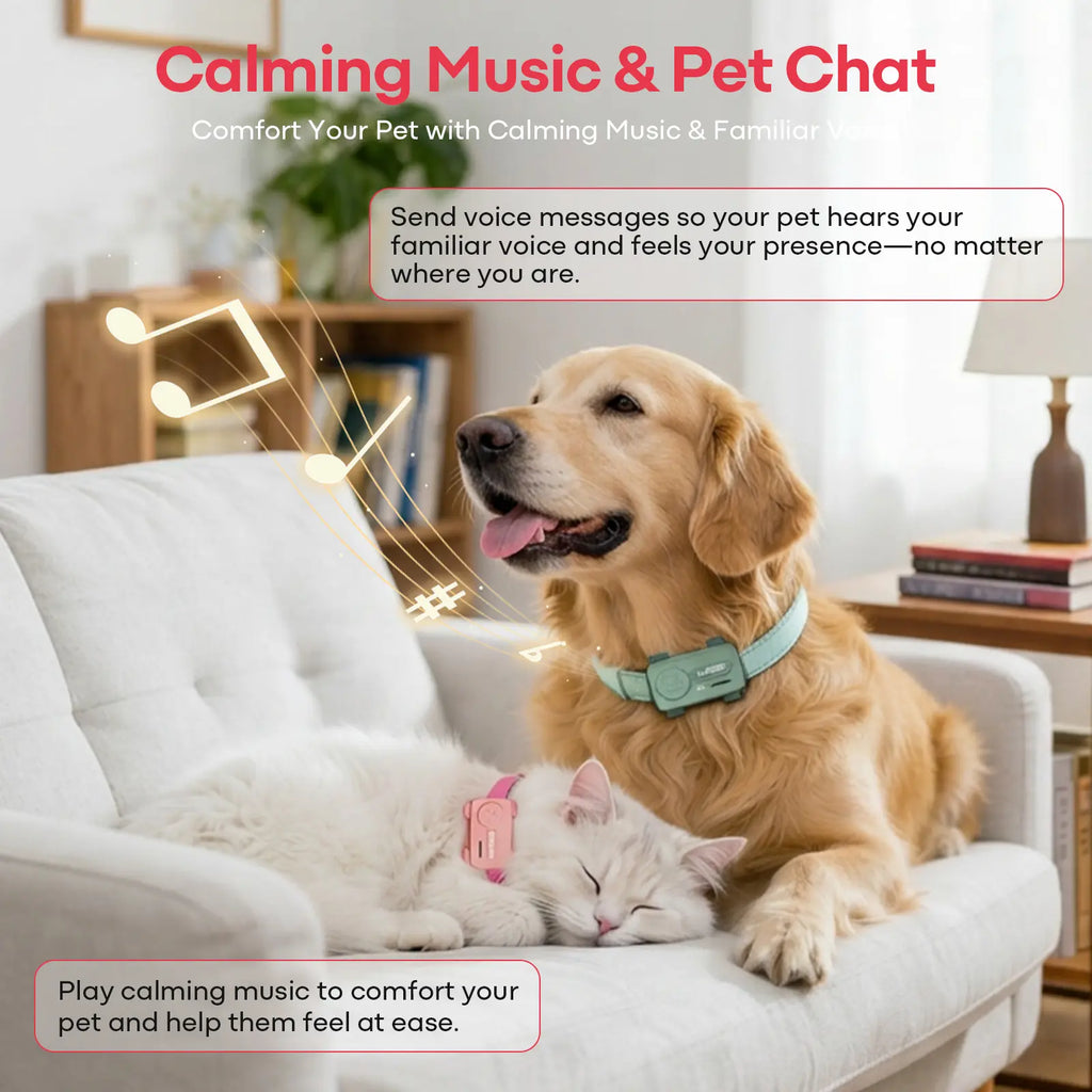 PetPhone for Dogs & Cats – 2-Way PetChat, Global GPS Tracker with Geofencing Alerts, Real-Time Tracking, Wellness Monitoring, Pet Finder, IP67 Waterproof, Up to 5 Days