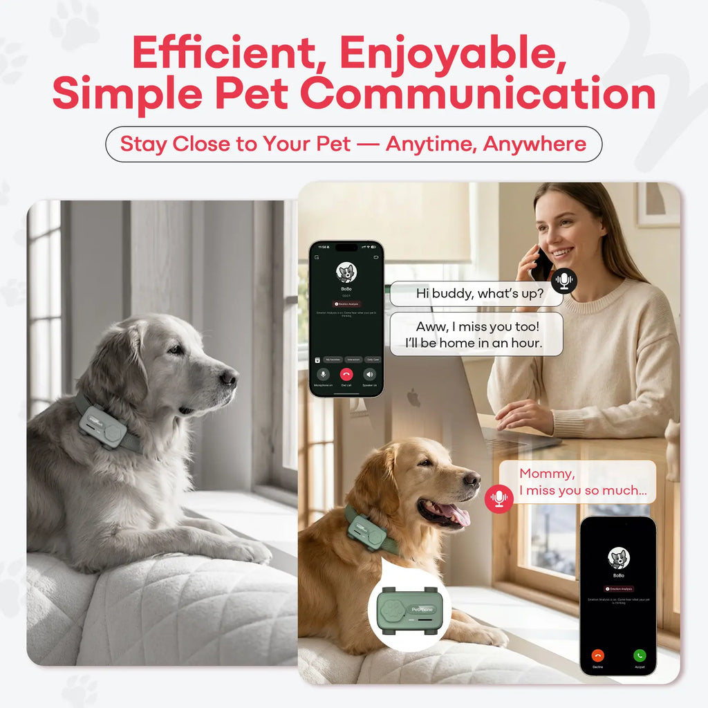 PetPhone for Dogs & Cats – 2-Way PetChat, Global GPS Tracker with Geofencing Alerts, Real-Time Tracking, Wellness Monitoring, Pet Finder, IP67 Waterproof, Up to 5 Days
